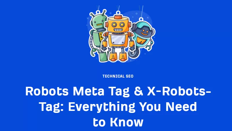 什么是Robots Meta Tag？为什么Robots Meta Tag对SEO很重要？