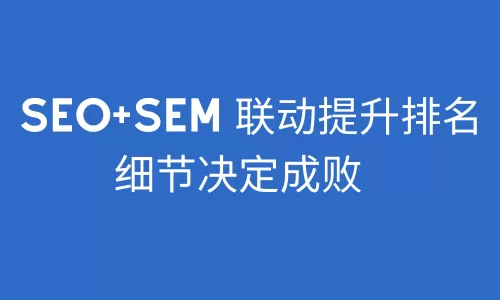 这半年我全力以赴实操SEO：经验与收获分享