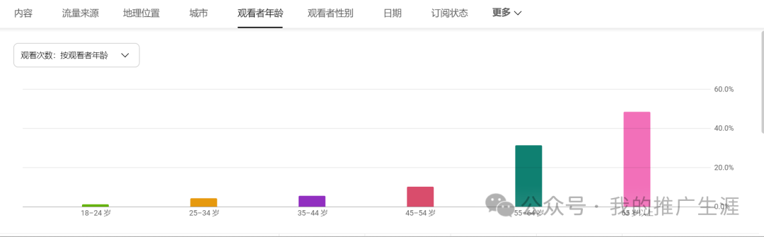 月播放量突破20万次的youtube频道+外贸独立站引流案例