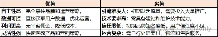 跨境出海系列:手把手教你如何运营独立站